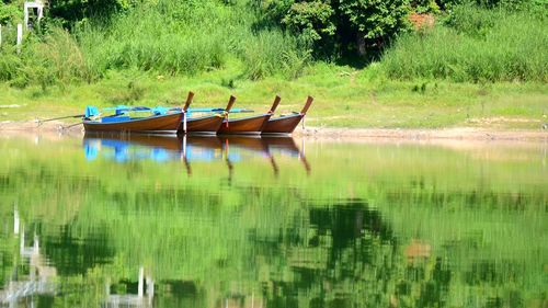 Boat moored on lake against trees