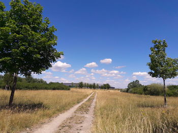 Road amidst field against clear blue sky