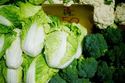 Chinese cabbages and broccolis at market for sale