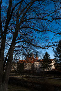 Low angle view of bare trees and building against sky