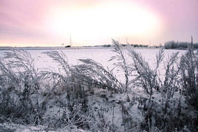 Scenic view of snow covered field against sky during sunset