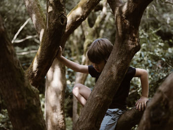 Boy climbing on tree in forest