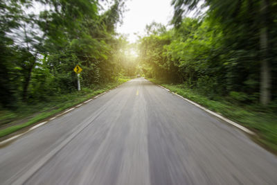 Road amidst trees in forest