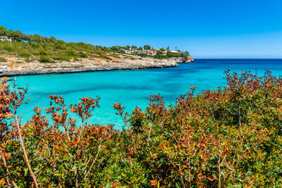 Scenic view of sea against clear blue sky