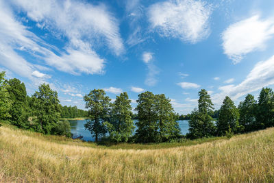 Trees on field against sky