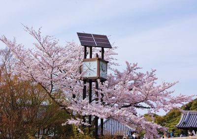 Low angle view of clock tower against sky