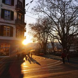 Sun shining through trees