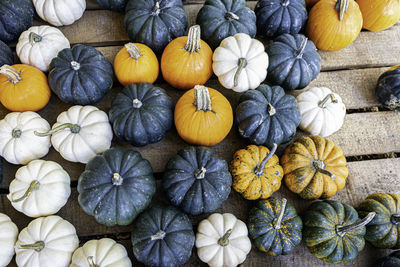 Overhead view of assorted small mini pumpkins on a wooden pallet.