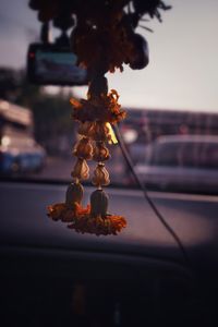 Close-up of red flowering plant in car