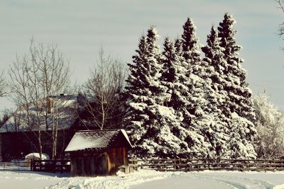 Snow covered landscape against sky