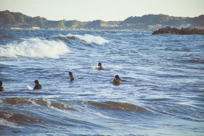 Ducks swimming in sea