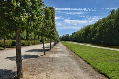 Scenic view of trees on field against sky