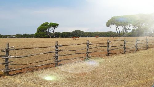 Fence on field against sky