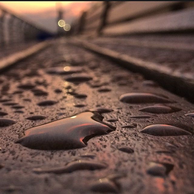 close-up, sand, selective focus, beach, surface level, seashell, focus on foreground, part of, single object, outdoors, wet, day, textured, detail, pebble, ground, no people, asphalt, sunlight, nature