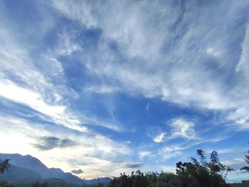 Low angle view of trees against sky