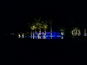 Illuminated trees against sky at night