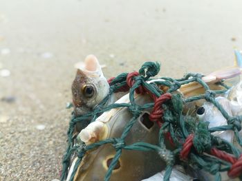 Close-up of rope tied to bollard on beach