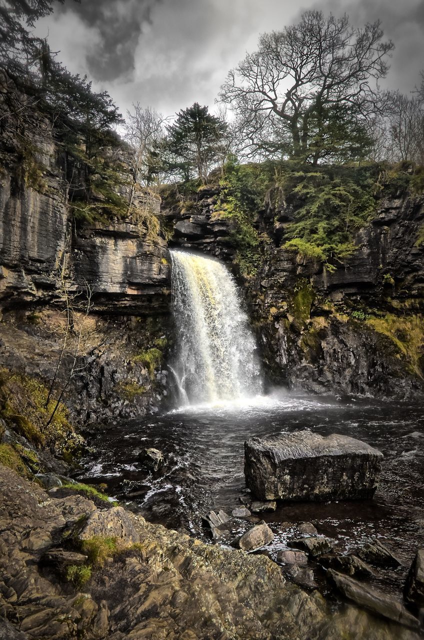 SCENIC VIEW OF WATERFALL AGAINST TREES