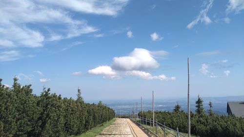 Panoramic view of footpath amidst trees against sky