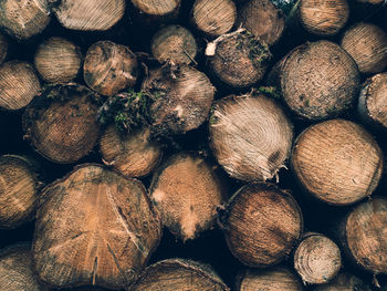 Full frame shot of logs