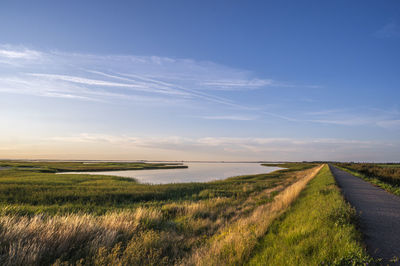 Scenic view of agricultural field against sky during sunset
