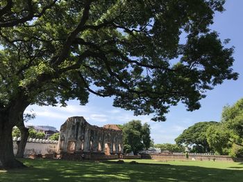 Castle by trees against sky