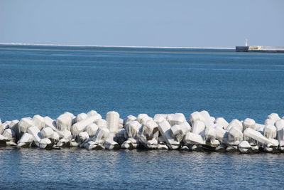 Scenic view of sea against clear sky