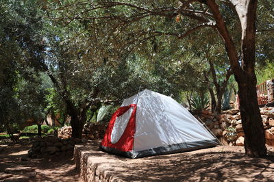 Tent on field against trees in forest