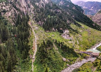 High angle view of trees on mountain