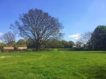 Scenic view of grassy field against cloudy sky