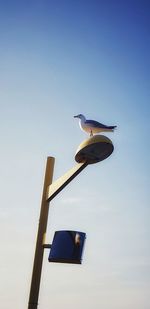 Low angle view of lamp post against clear sky