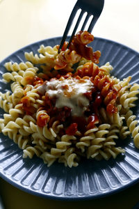 Close-up of meal served in plate