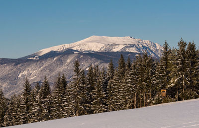 Snow field with a raised hunting seat, trees,forest ,a view towards the mountain schneeberg,austria