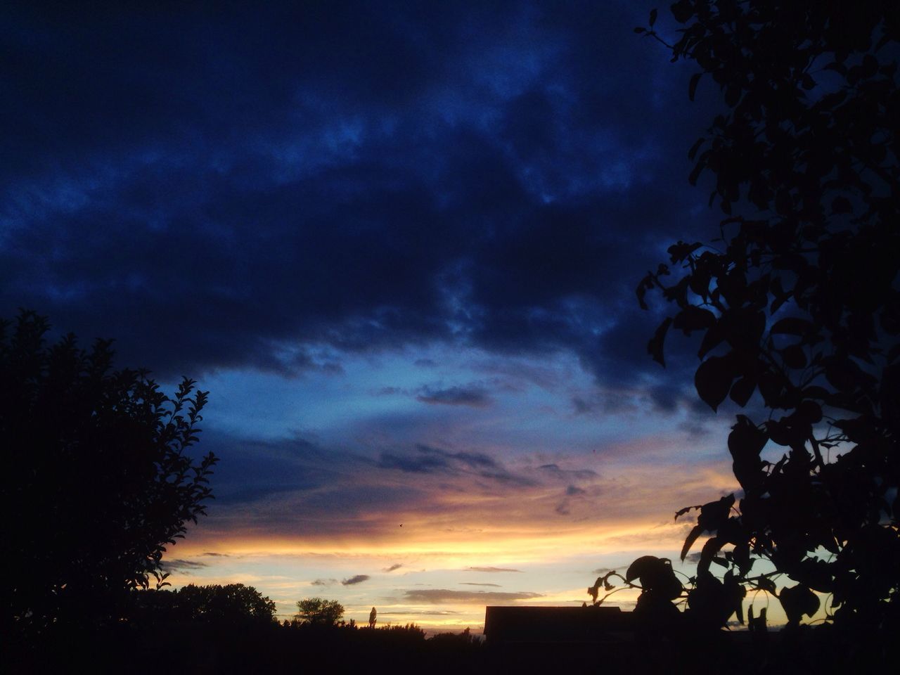 sky, tree, sunset, cloud - sky, beauty in nature, scenics, tranquility, tranquil scene, nature, cloudy, low angle view, cloud, dramatic sky, idyllic, growth, outdoors, moody sky, orange color, no people, weather, overcast, landscape, majestic, dark, non-urban scene, non urban scene