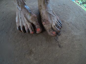 Low section of shoes on sand