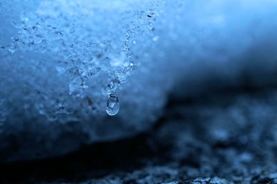 Close-up of raindrops on ice