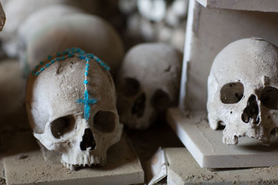 Close-up of human skulls