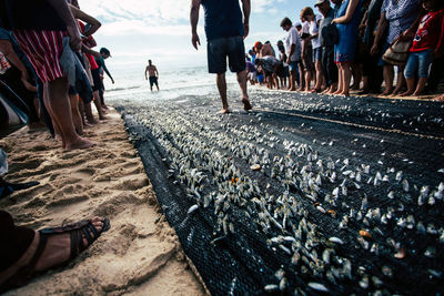 Low section of people standing on beach