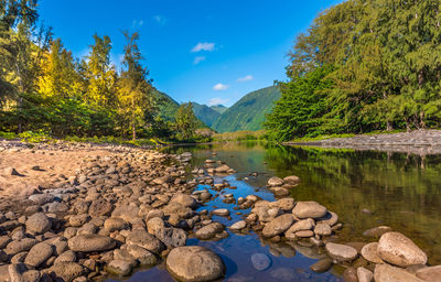 Scenic view of lake by trees against blue sky