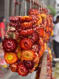 Close-up of flowers hanging at market for sale