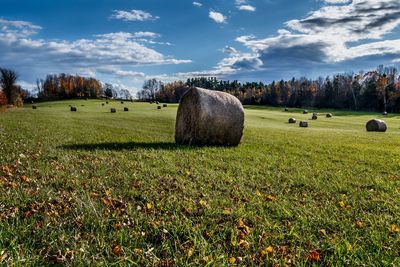 Hay bales on field against sky