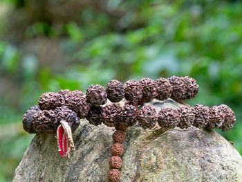 Closeup of mala prayer beads hanging over rock in nature for mediation, ecuador.