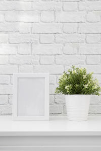 Close-up of potted plant against white wall