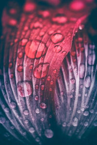 Full frame shot of red fabric