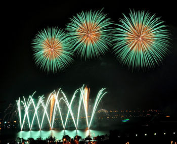 Firework display at night