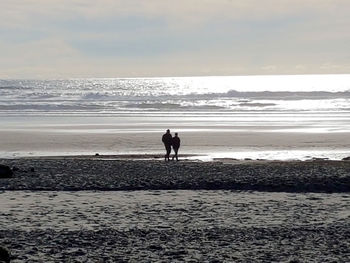 Dog on beach