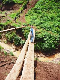 Woman standing by tree in forest