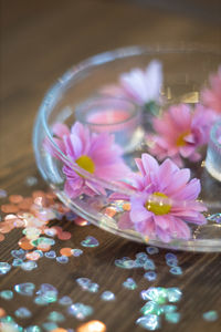 Close-up of pink flowers on table