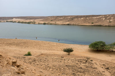 Scenic view of beach against clear sky