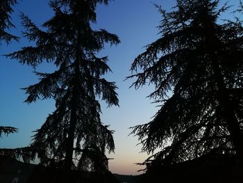 Low angle view of silhouette trees against blue sky